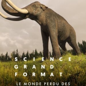 Le monde perdu des mammouths