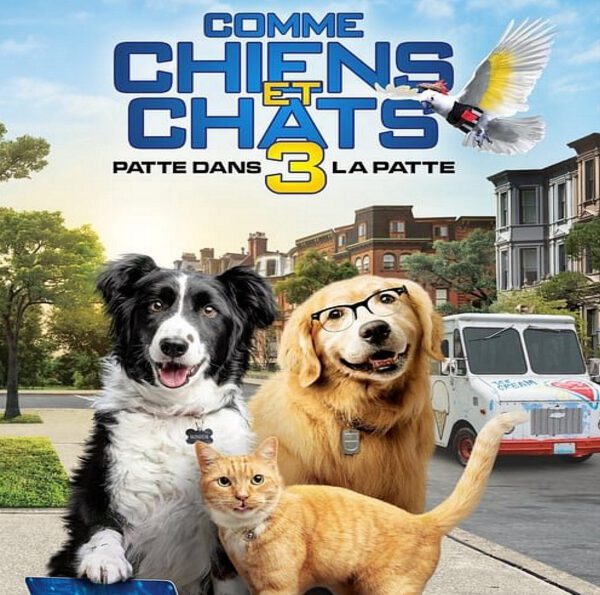 Comme Chiens Et Chats : Patte Dans La Patte
