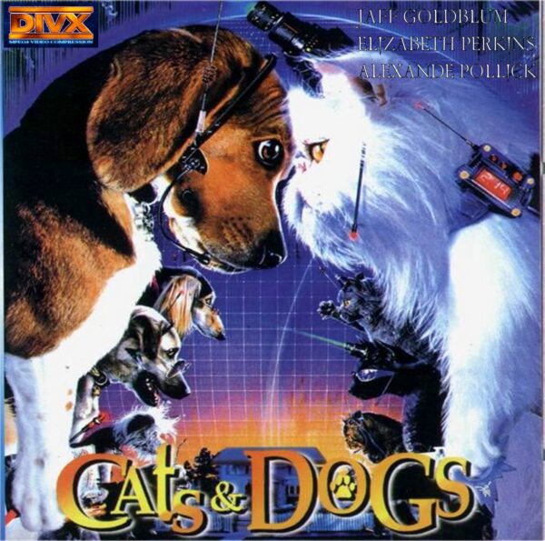 Comme Chiens Et Chats