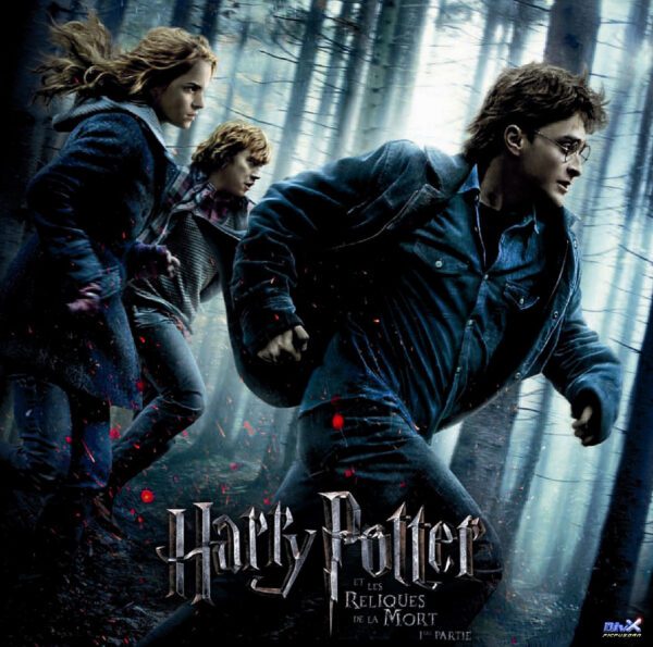 Harry Potter Et Les Reliques De La Mort - Partie 1